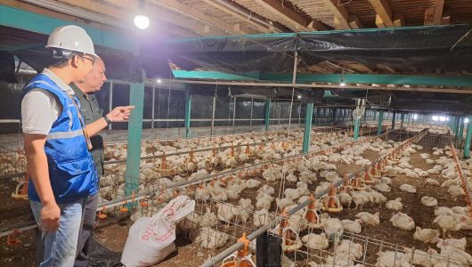 Kehadiran energi listrik yang  andal dan terjangkau berdampak positif bagi daya beli masyarakat dan pertumbuhan ekonomi. Foto PLN