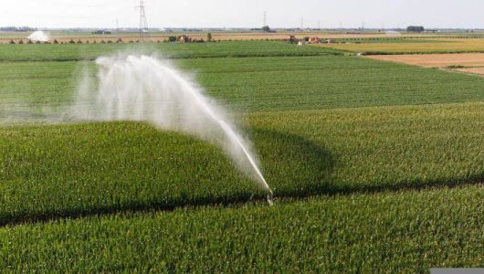 Upaya pengairan sawah di Kutai Kartanegara Kaltim. Foto istimewa