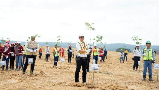 Reklamasi lingkungan di area bekas pertambangan PT Berau Coal. Foto Berau Coal
