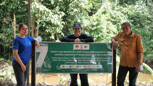 PT Bank Central Asia Tbk (BCA) revitalisasi empat pulau buatan di kawasan konservasi orangutan di Samboja. Foto BCA