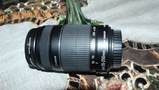 Canon 3