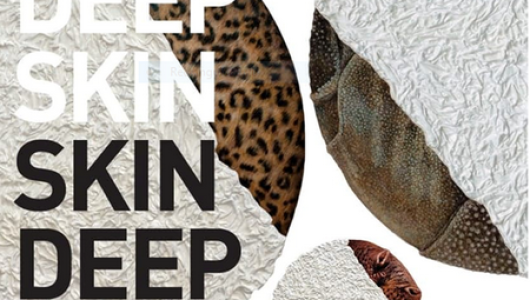 Deep Skin