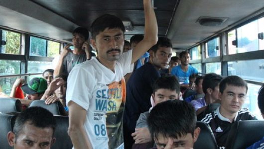 Imigran Timur Tengah