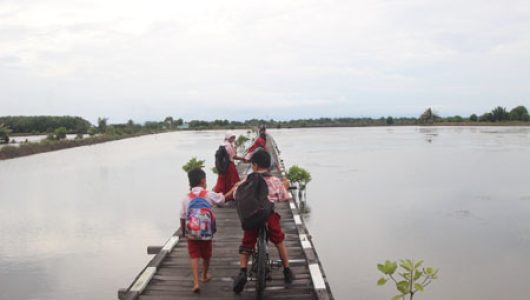 Jembatan Dusun Tani Baru