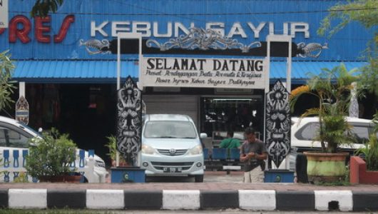 Kebun Sayur 2