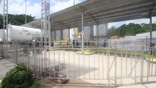 PLN 1