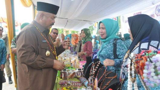 Pencanangan Hari Kesatuan gerak PKK-KKBPK Tingkat Provnsi Kaltim (2)