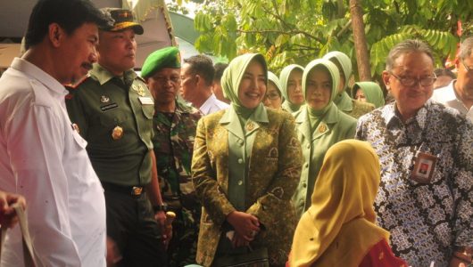 Peninjauan Pelayanan KB Kes Manunggal TNI (2)