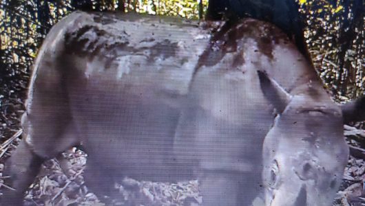 WhatsApp Image 2020-09-12 at 01.22.21