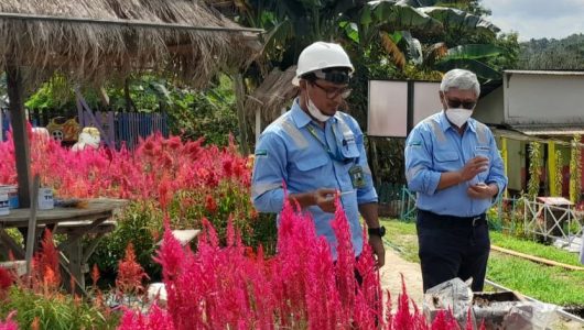 Kembangkan Agrowisata, Desa Tani Bakti Berkeinginan Membangun Greenhouse. Foto istimewa
