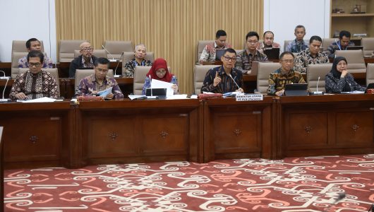Jajaran PT PLN Persero di DPR RI. Foto PLN