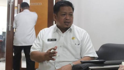 Kepala Diapora Kukar, Aji Ali Husni (Istimewa)