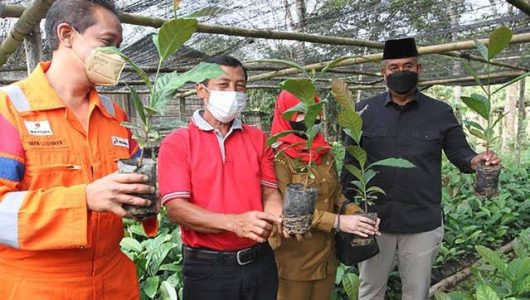 Ilustrasi penyerahan bantuan saran perkebuna di Kukar (Istimewa)