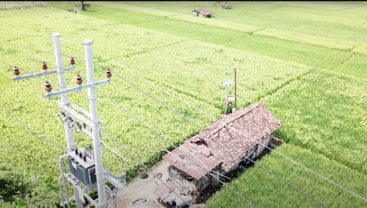 Tampilan Jaringan Tegangan Menengah (JTM) bertegangan 20 kilovolt (kV) yang membentang di areal persawahan Desa Sukorejo, Ponorogo, Jawa Timur. Foto PLN
