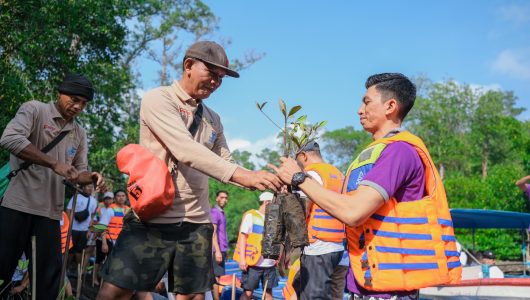 Kegiatan susur mangrove, salah satu aktifitas menarik yang bisa dilakukan di kawasan Ekowisata Mangrove Batu Lumbang. Foto PLN