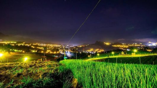 Electrifying agriculture dengan menggunakan lampu pada malam hari untuk meminimalisir hama yang dapat menghambat pertumbuhan tanaman sekaligus menjadi matahari buatan untuk mempercepat pertumbuhan tanaman pada kebun petani bawang di Kabupaten Enrekang, Sulawesi Selatan. Foto PLN