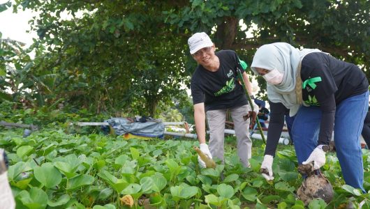 Volunteer PLN melakukan aksi bersih-bersih Pantai Tepian Bandara sebagai bagian dari peringatan Hari Lingkungan Hidup Sedunia, Senin (10/6/2024). Foto PLN