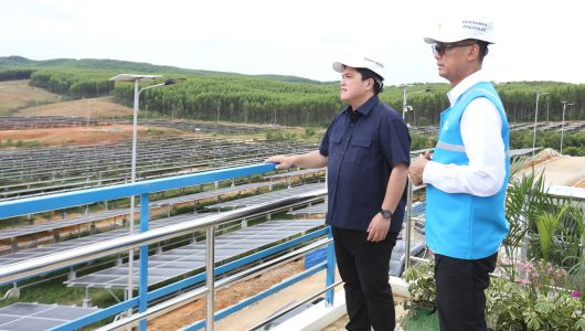 Menteri BUMN Erick Thohir (kiri) bersama Direktur Utama PLN Darmawan Prasodjo (kanan) saat meninjau pembangkit listrik tenaga surya (PLTS) Ibu Kota Nusantara, di Penajam Paser Utara, Kalimantan Timur, Sabtu (29/6/2024). Foto PLN
