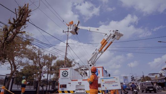 Petugas PLN ketika melakukan pengecekan pada tower transmisi demi menjaga keandalan listrik di Desa Tengatiba, Kec. Aesesa Selatan, Kab. Nagekeo, Nusa Tenggara Timur. Foto PLN